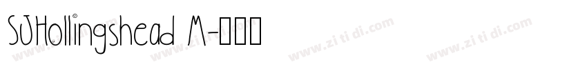 SJHollingshead M字体转换